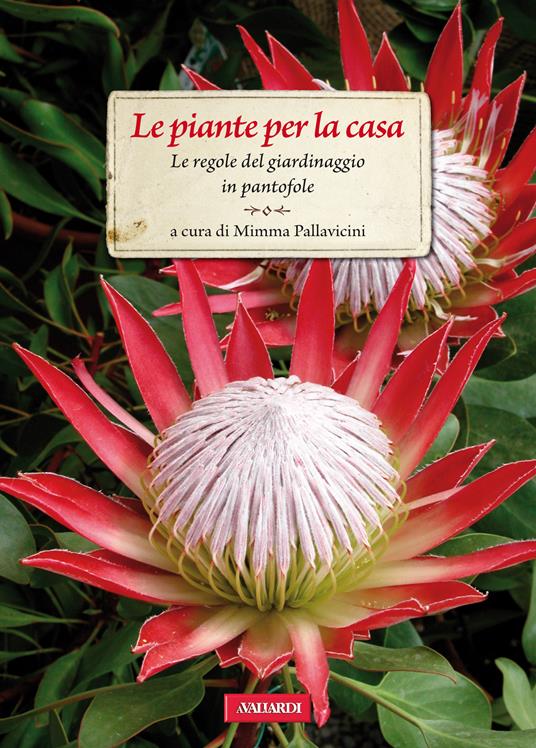 Le piante per la casa. Le regole del giardinaggio in pantofole - Mimma Pallavicini - ebook