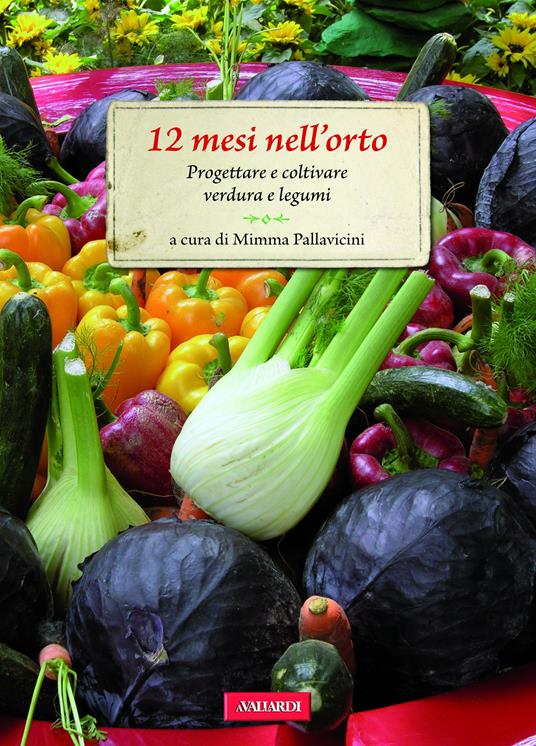 12 mesi nell'orto. Progettare e coltivare verdura e legumi - Mimma Pallavicini - ebook