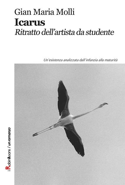 Icarus. Ritratto dell'artista da studente - Gian Maria Molli - copertina