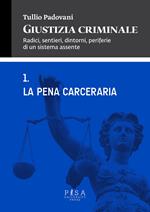 Giustizia criminale. Vol. 1: La pena cerceraria