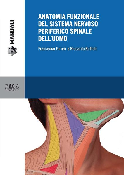 Anatomia funzionale del sistema nervoso periferico spinale dell'uomo - Francesco Fornai,Riccardo Ruffoli - copertina