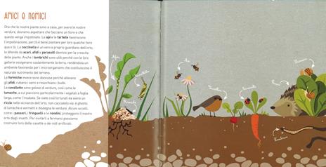 Il mio piccolo orto biologico - Marta Bassotti - 4