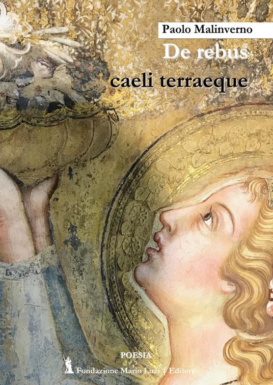 De rebus caeli terraeque - Paolo Malinverno - copertina