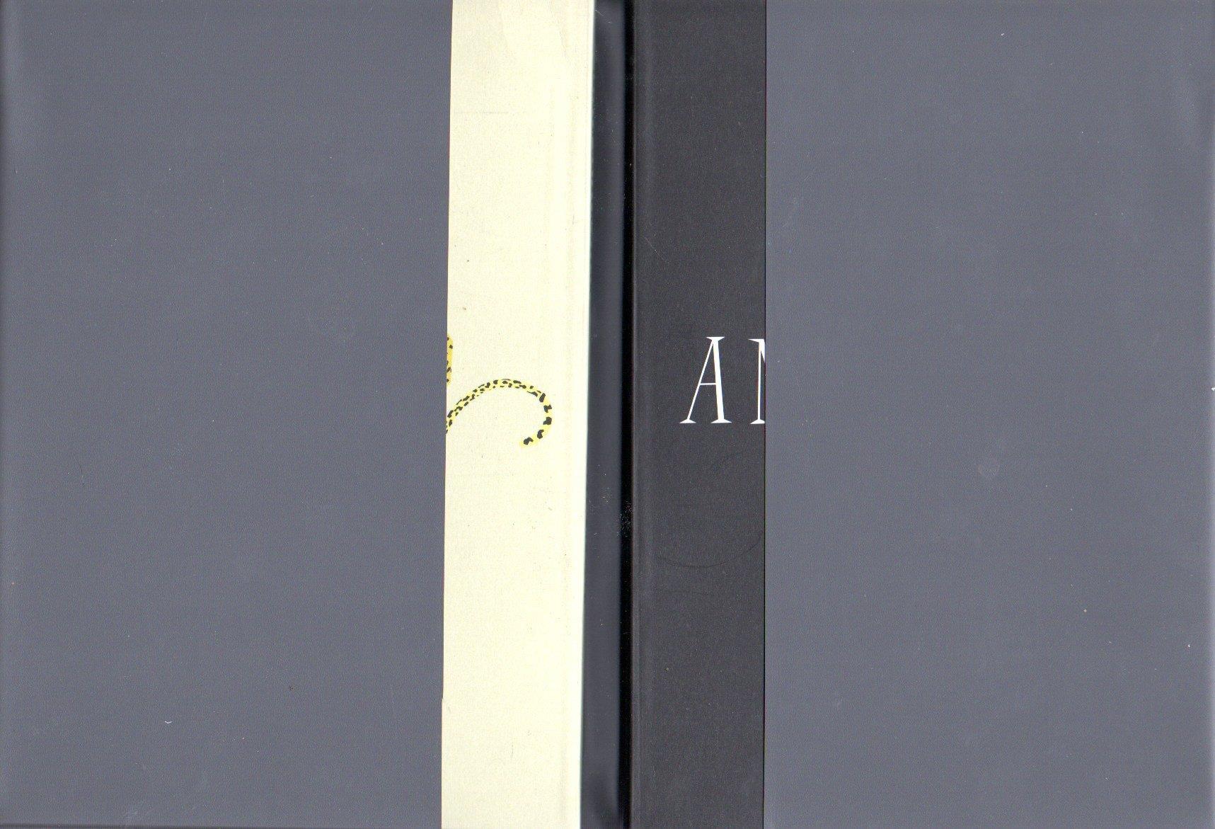 Matthew Brannon. In Italy it's called «department store at night» (five impossible films, i). The rest of the world knows it as «postcards & death certificates». Ediz. illustrata