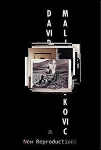 David Maljkovic. New reproductions. Ediz. illustrata - copertina