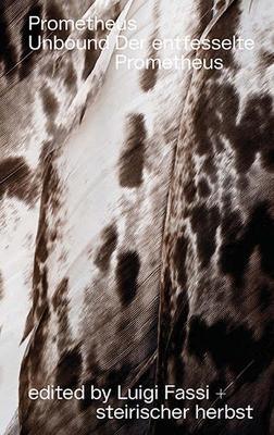 Prometheus unbound. Ediz. tedesca e inglese - H. Bohme,Luigi Fassi,J. Hickman - copertina