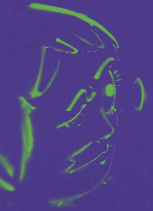 Hoda Kashiha: slipping on fragmented shapes. Ediz. inglese e francese - copertina