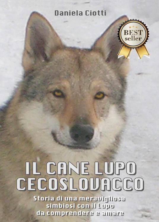 Il cane lupo cecoslovacco. Storia di una meravigliosa simbiosi con il lupo da comprendere e amare - Daniela Ciotti - copertina