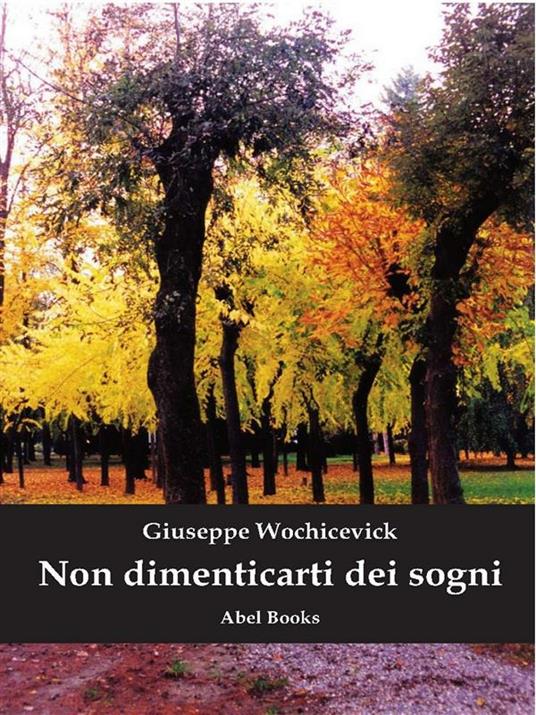 Non dimenticarti dei sogni - Giuseppe Wochicevick - ebook