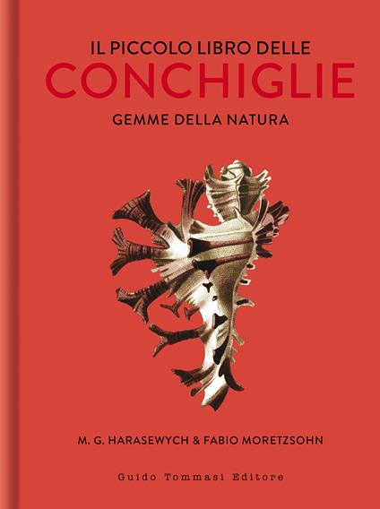 Il piccolo libro delle conchiglie. Gemme della natura. Ediz. illustrata - Miroslav George Harasewych,Fabio Moretzsohn - copertina