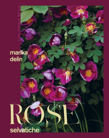 Rose selvatiche - Marika Delin - copertina