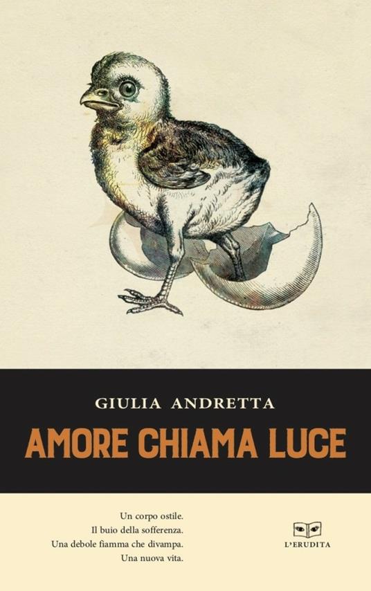 Amore chiama luce - Giulia Andretta - copertina