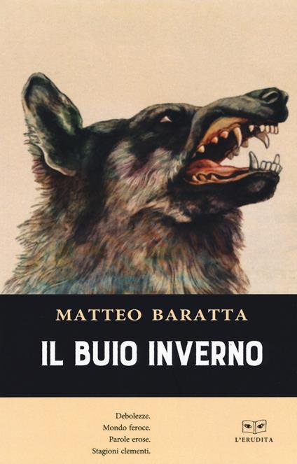 Il buio inverno - Matteo Baratta - copertina