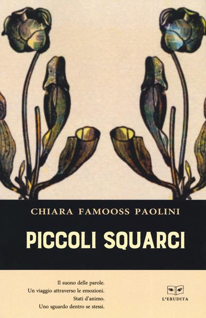Piccoli squarci - Chiara Famooss Paolini - copertina
