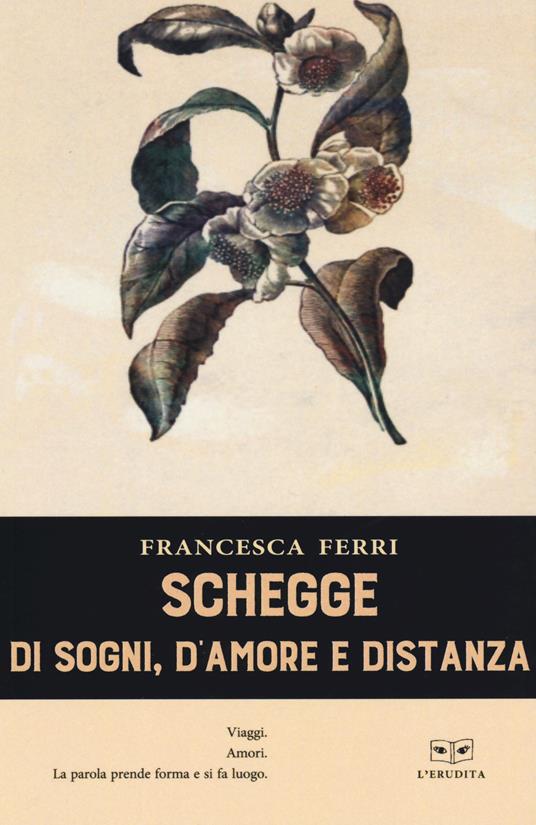 Schegge di sogni, d'amore e distanza - Francesca Ferri - copertina
