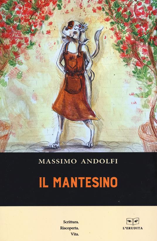 Il mantesino - Massimo Andolfi - copertina