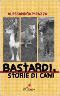 Libreria Postumia