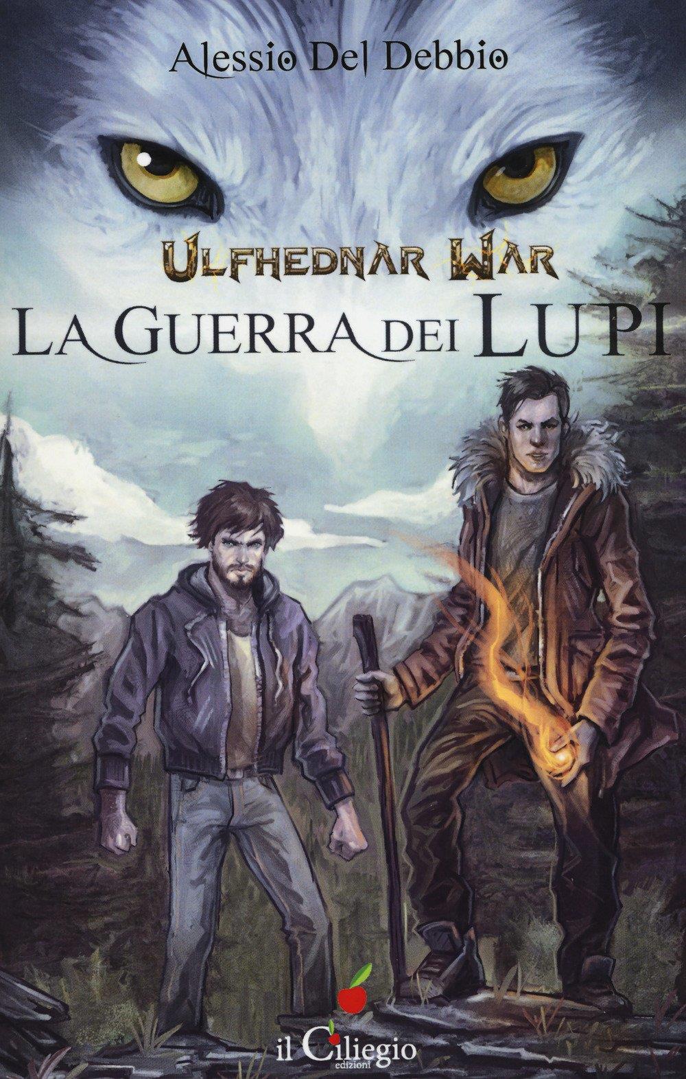 Librisaggi