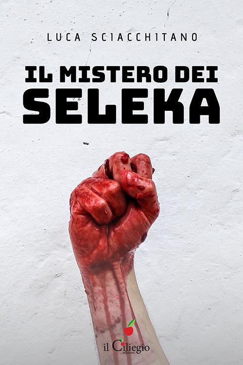 Il mistero dei Seleka - Luca Sciacchitano - copertina