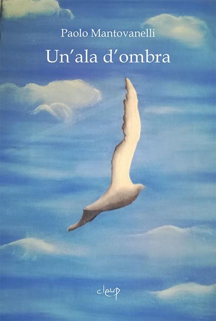 Un' ala d'ombra - Paolo Mantovanelli - copertina