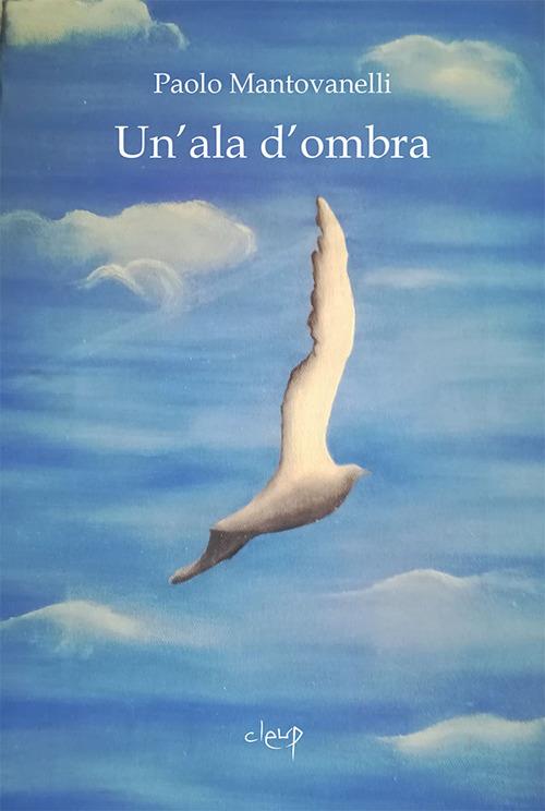 Un' ala d'ombra - Paolo Mantovanelli - copertina