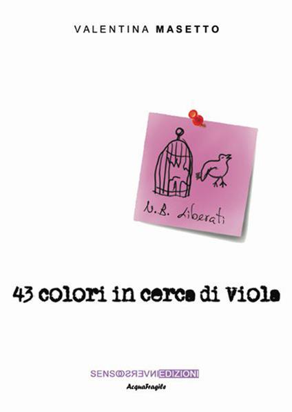 43 colori in cerca di Viola - Valentina Masetto - copertina