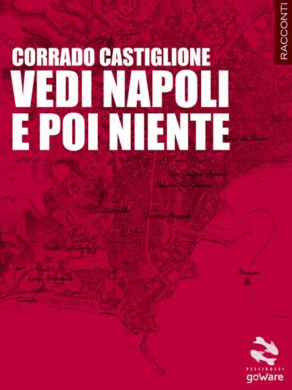 Vedi Napoli e poi niente - Corrado Castiglione - copertina