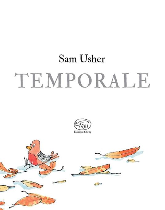 Temporale. Ediz. mini - Sam Usher - 2