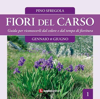 Fiori del Carso. Ediz. illustrata. Vol. 1 - Pino Sfregola - copertina
