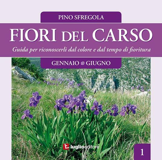 Fiori del Carso. Ediz. illustrata. Vol. 1 - Pino Sfregola - copertina