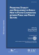 Promoting stability and development in Africa. How to foster cooperation between public and private sectors