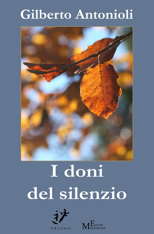 I doni del silenzio - Gilberto Antonioli - ebook