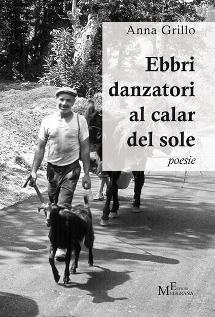 Ebbri danzatori al calar del sole - Anna Grillo - copertina