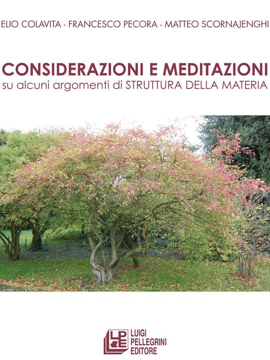 Considerazioni e meditazioni su alcuni argomenti di struttura della materia - Elio Colavita,Francesco Pecora,Matteo Scornajenghi - copertina