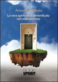 La vera spiritualità dimenticata nel cristianesimo - Antonella Delicato - copertina