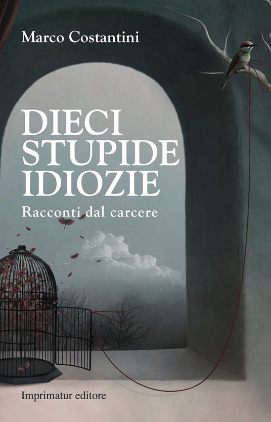 Dieci stupide idiozie - Marco Costantini - copertina