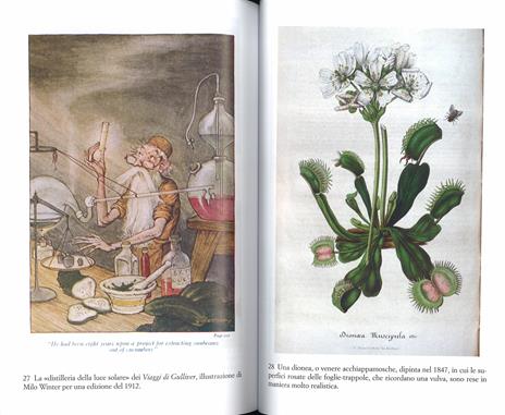 Il più grande spettacolo del mondo. Botanica e immaginazione. Ediz. illustrata - Richard Mabey - 4