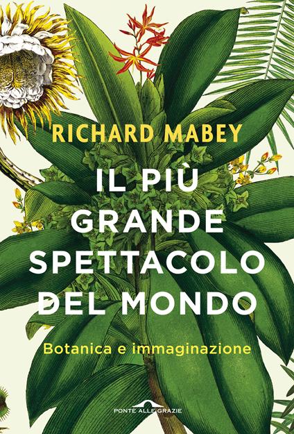 Il più grande spettacolo del mondo. Botanica e immaginazione. Ediz. illustrata - Richard Mabey,Massimiliano Manganelli - ebook