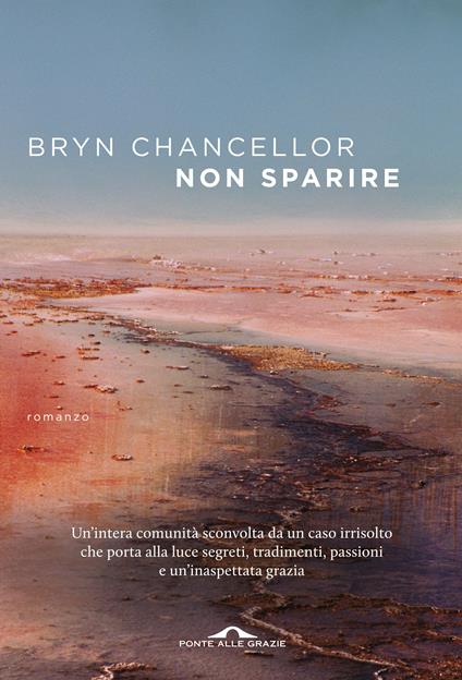 Non sparire - Bryn Chancellor - copertina