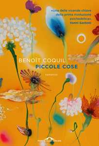 Libro Piccole cose Benoît Coquil