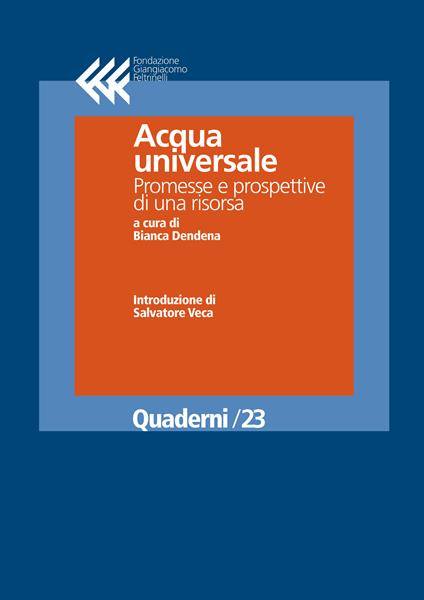 Acqua universale. Promesse e prospettive di una risorsa - Bianca Dendena - ebook