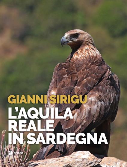 L' aquila reale in Sardegna - Gianni Sirigu - copertina