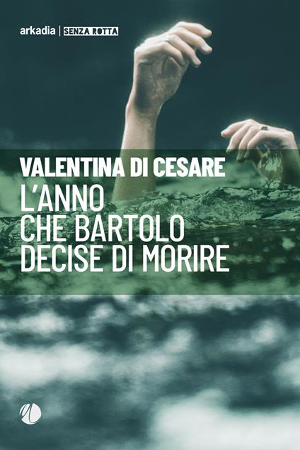 L' anno che Bartolo decise di morire - Valentina Di Cesare - copertina