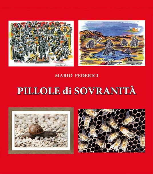 Pillole di sovranità. Lo Stato democratico è quello dove il cittadino esercita la sua sovranità con il lavoro e con il controllo - Mario Federici - copertina