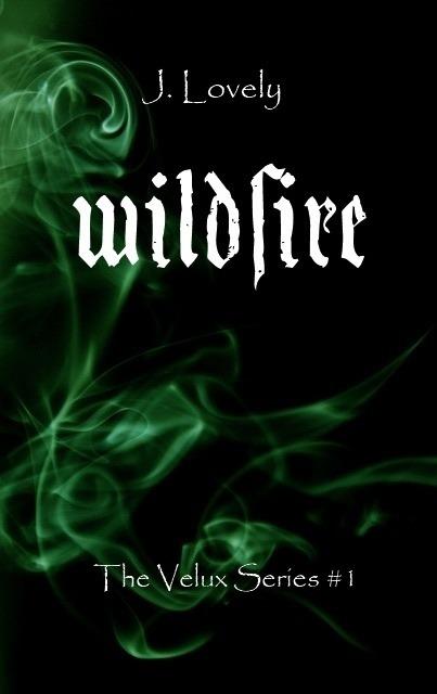 Wildfire. The velux series. Vol. 1 - J. Lovely - ebook