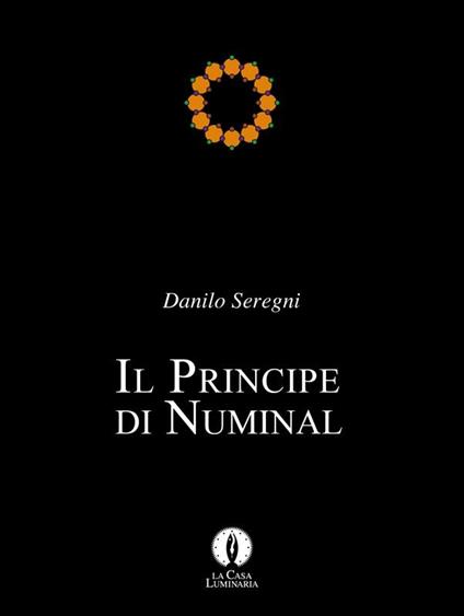 Il principe di Numinal - Danilo Seregni - ebook