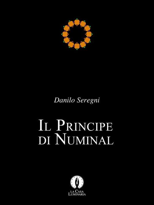 Il principe di Numinal - Danilo Seregni - ebook
