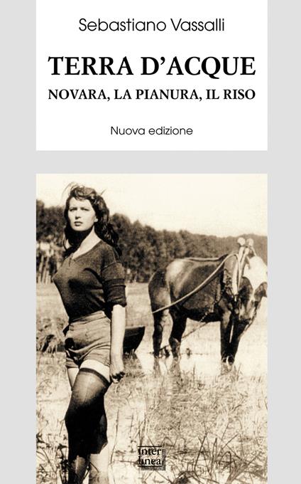 Terra d'acque. Novara, la pianura, il riso - Sebastiano Vassalli - ebook