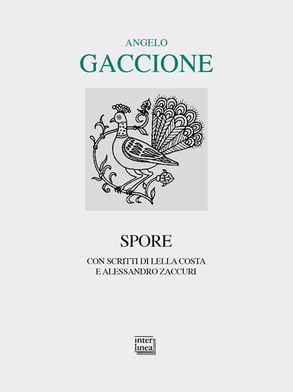 Spore - Angelo Gaccione - copertina