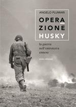 Operazione Husky. La guerra nell'entroterra ennese